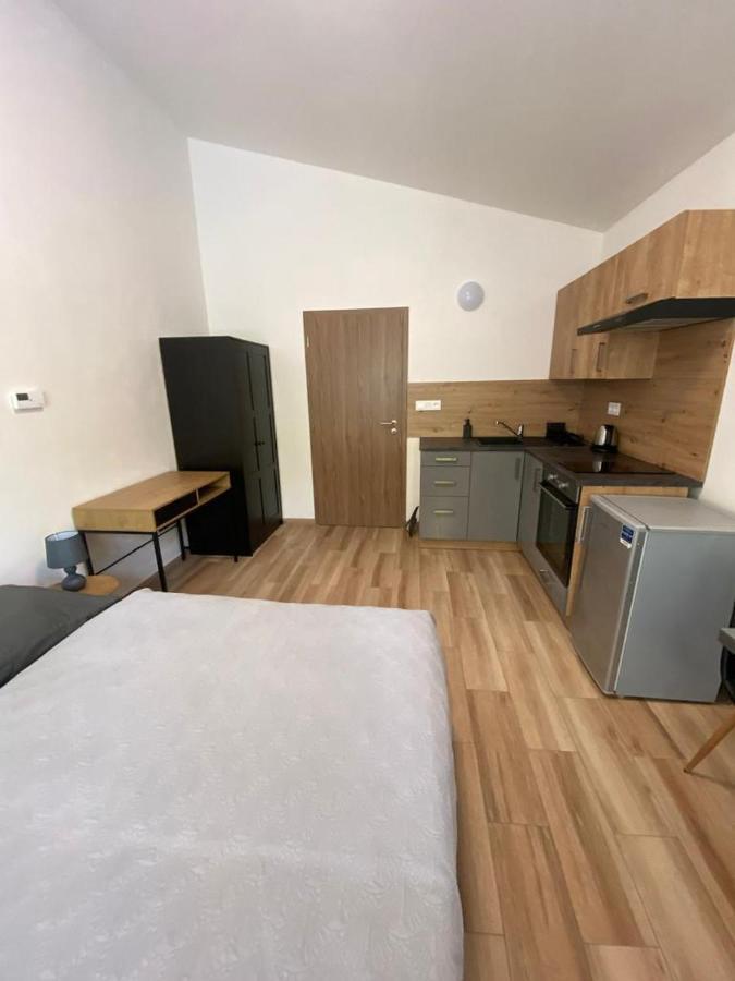 Cerna Ruze - Apartman 7 Plzeň Exterior foto